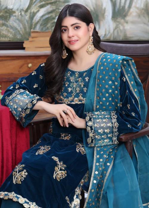 Blue Embroidered Velvet Suit - 3 Piece