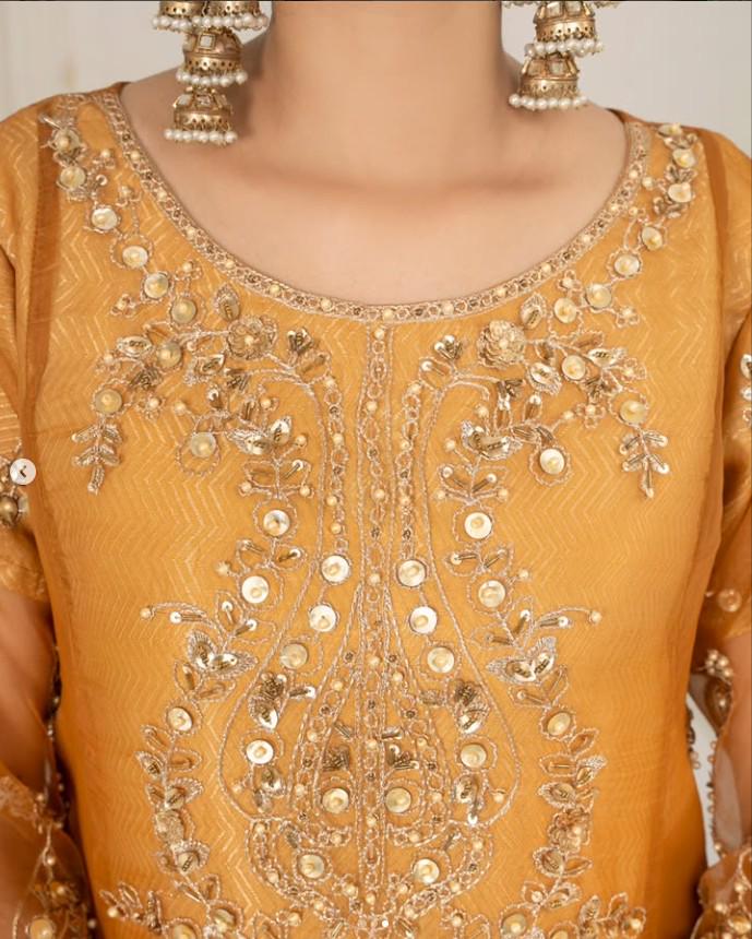 Embroidered Organza and Raw Silk Crush Sharara Suit - 3 Piece