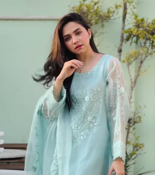 Agha Noor 3 Piece Embroidered Organza Suit with Raw Silk Pants (Size - XL)