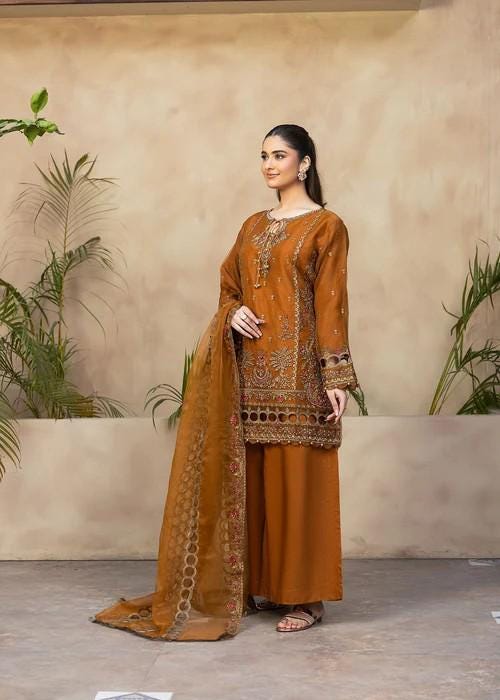 Embroidered Organza and Raw Silk Palazzo Designer Suit - 3 Piece