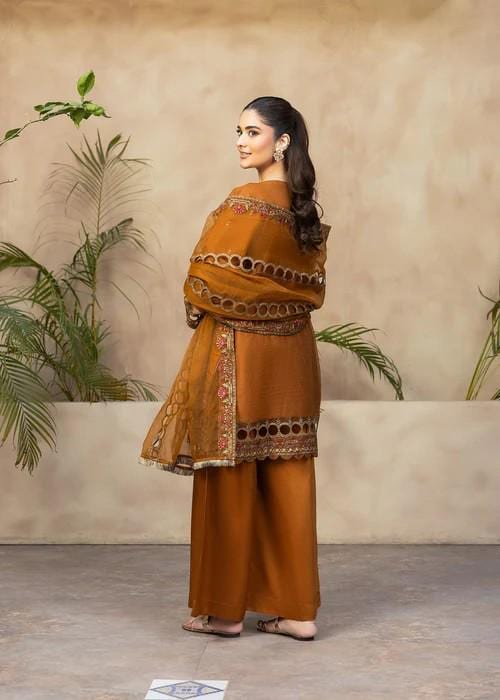 Embroidered Organza and Raw Silk Palazzo Designer Suit - 3 Piece