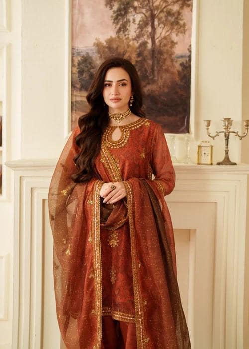 4 Piece Khaadi Silk Farshi Shalwar Suit - With Potli Bag