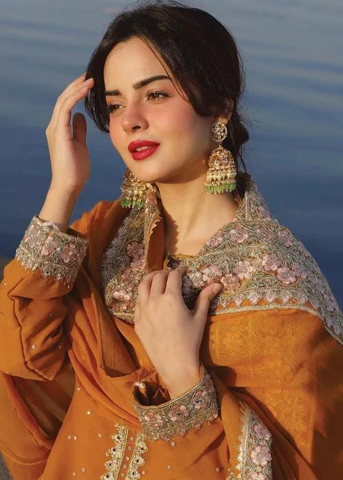Embroidered Chiffon and Raw Silk Shalwar Suit - Mustard