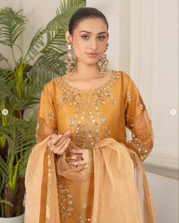 Embroidered Organza and Raw Silk Crush Sharara Suit - 3 Piece