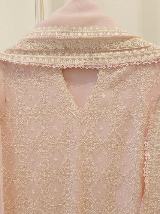 Agha Noor 3 Piece - Pure Embroidered Cotton Net Suit (Lining in the Sleeves Too)