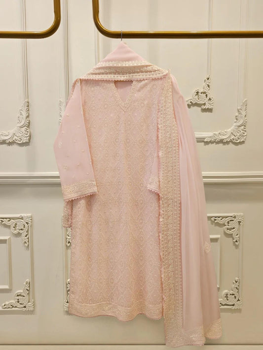Agha Noor 3 Piece - Pure Embroidered Cotton Net Suit (Lining in the Sleeves Too)