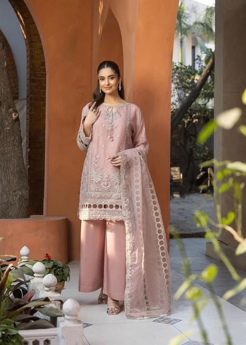 Embroidered Organza and Raw Silk Palazzo Designer Suit - 3 Piece - Pastel Pink