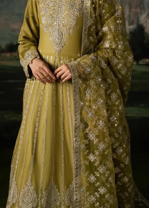 Olive Green Chiffon Maxi Dress - 3 Piece Designer Wear